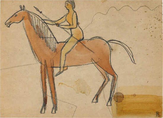 Васми Рихард Рудольфович. Амазонка